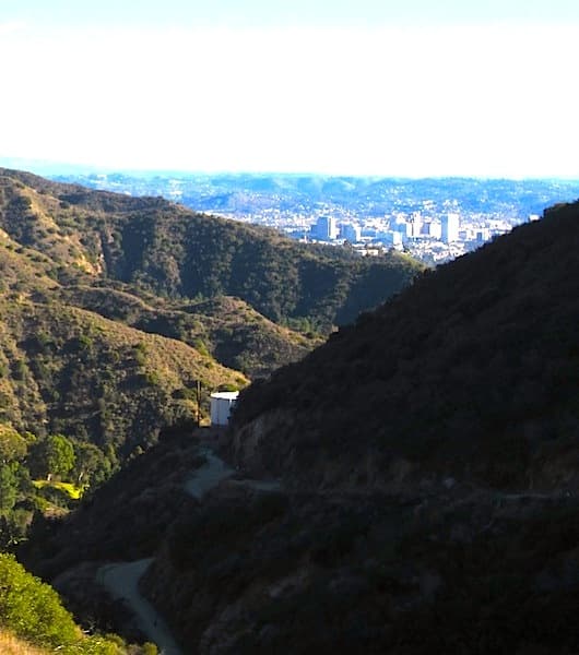 city view in the distance