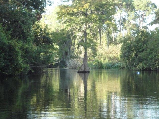 Roger's Park Weeki Wachee River