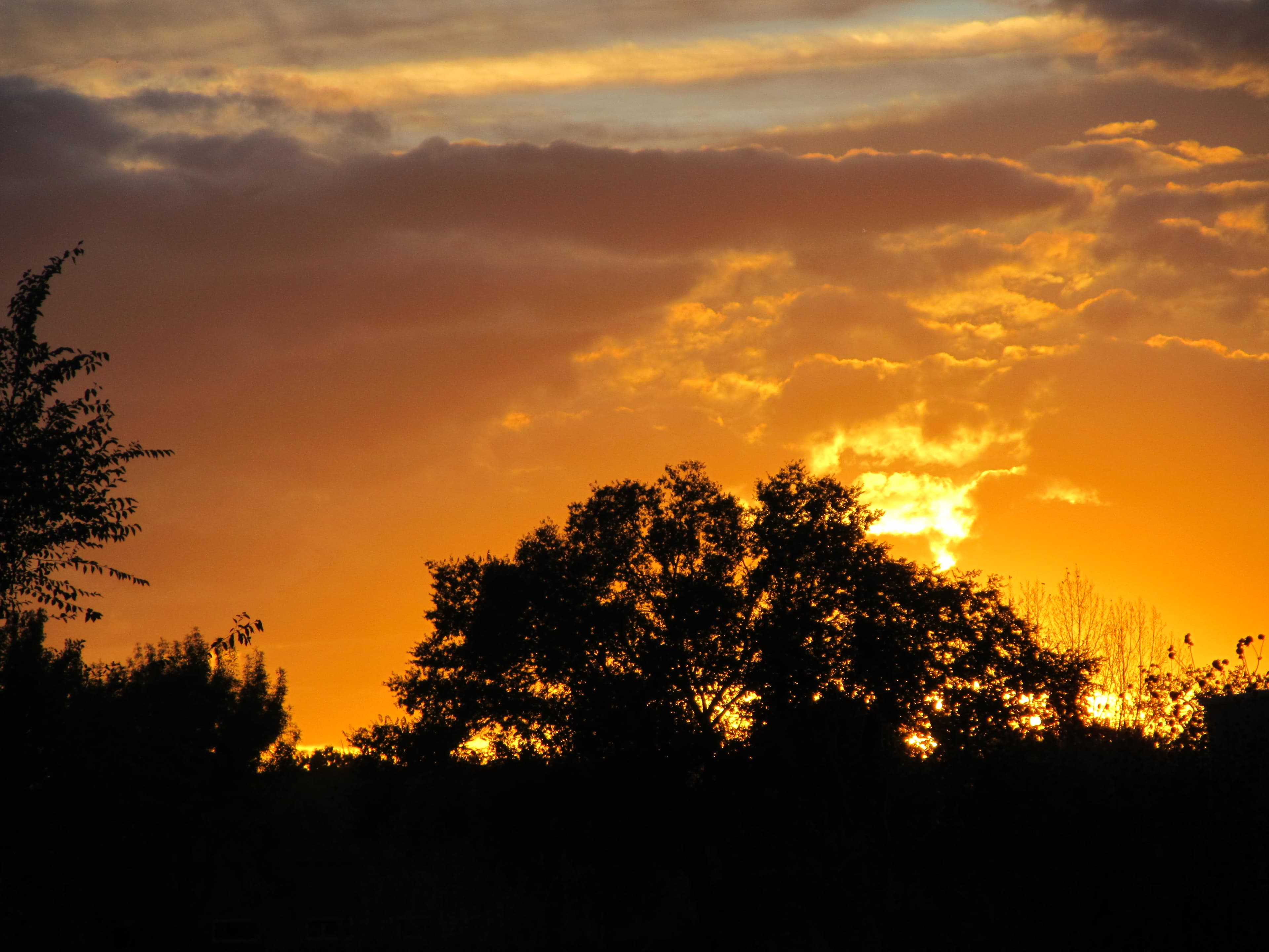 Flaming Sunsets at Los Poblanos