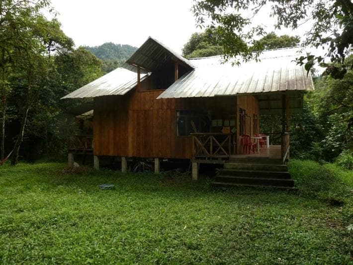 The cabin