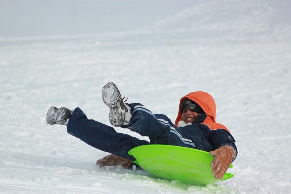 Sledging