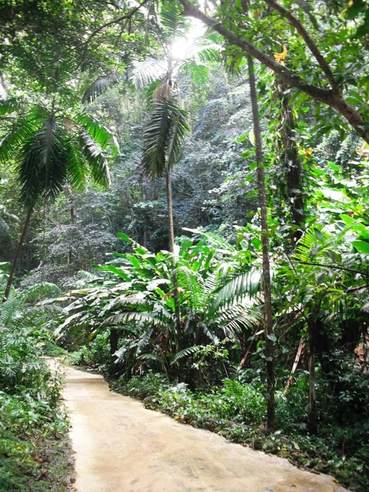 Green, green, green...!