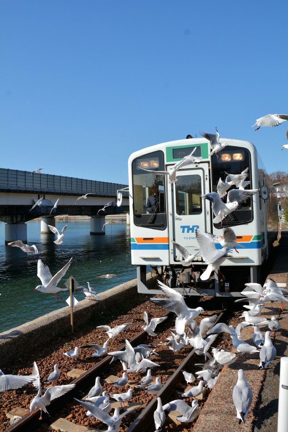 ゆりかもめの浜名湖佐久米駅