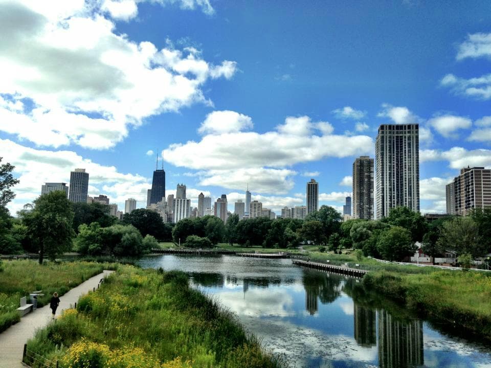 On the bridge over the Lincoln Park Zoo's South Pond.