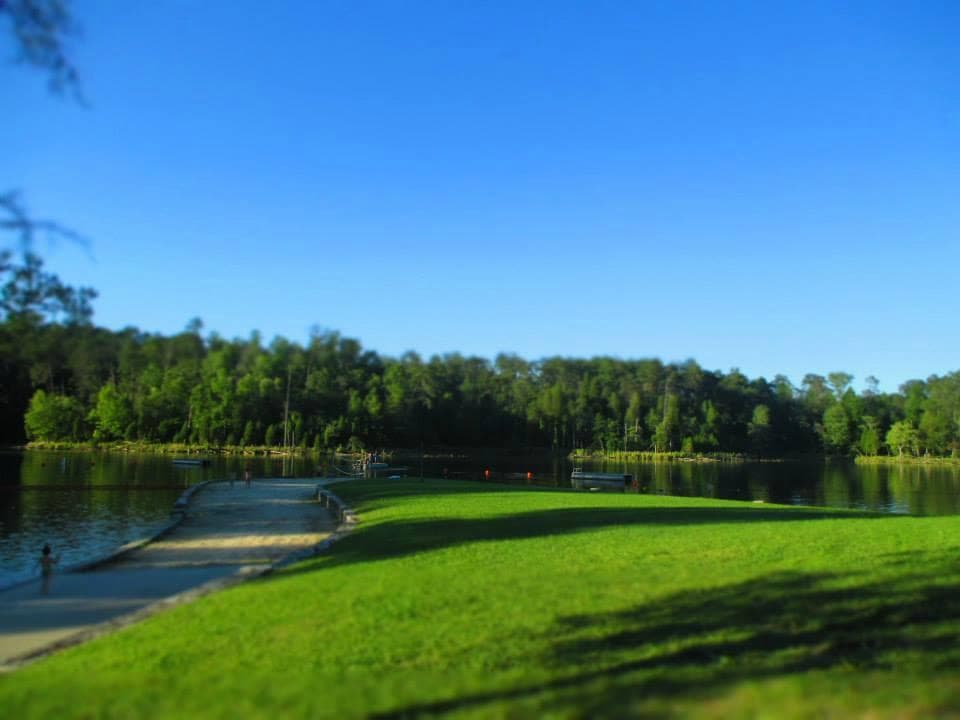 Bg Ridge State Park in July
