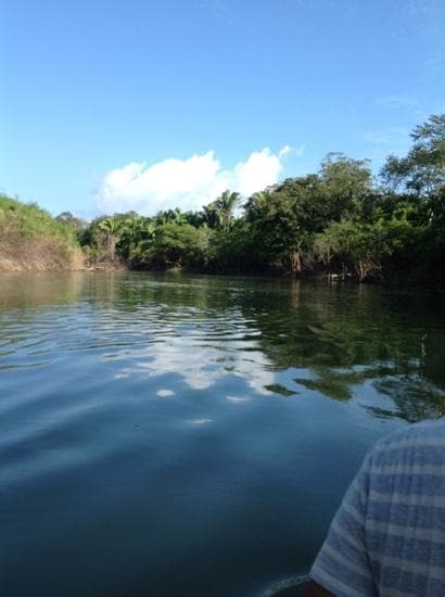 Community Baboon Sanctuary Belize