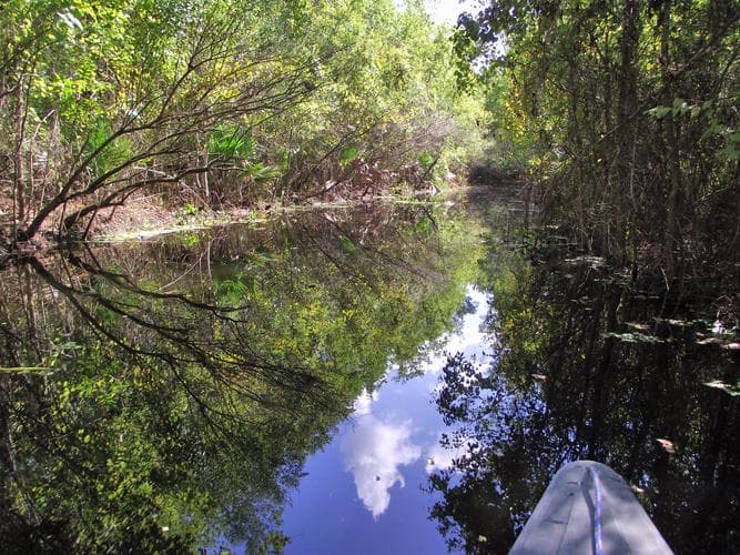 From the canoe