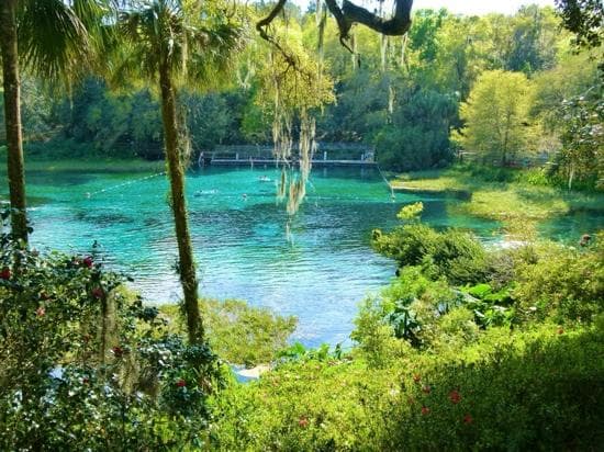 Rainbow Spring Swimming