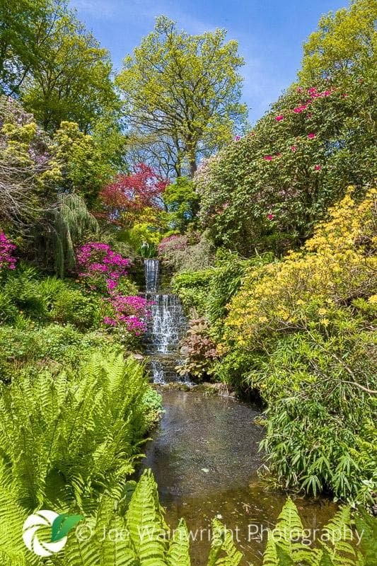 Dorothy Clive Garden