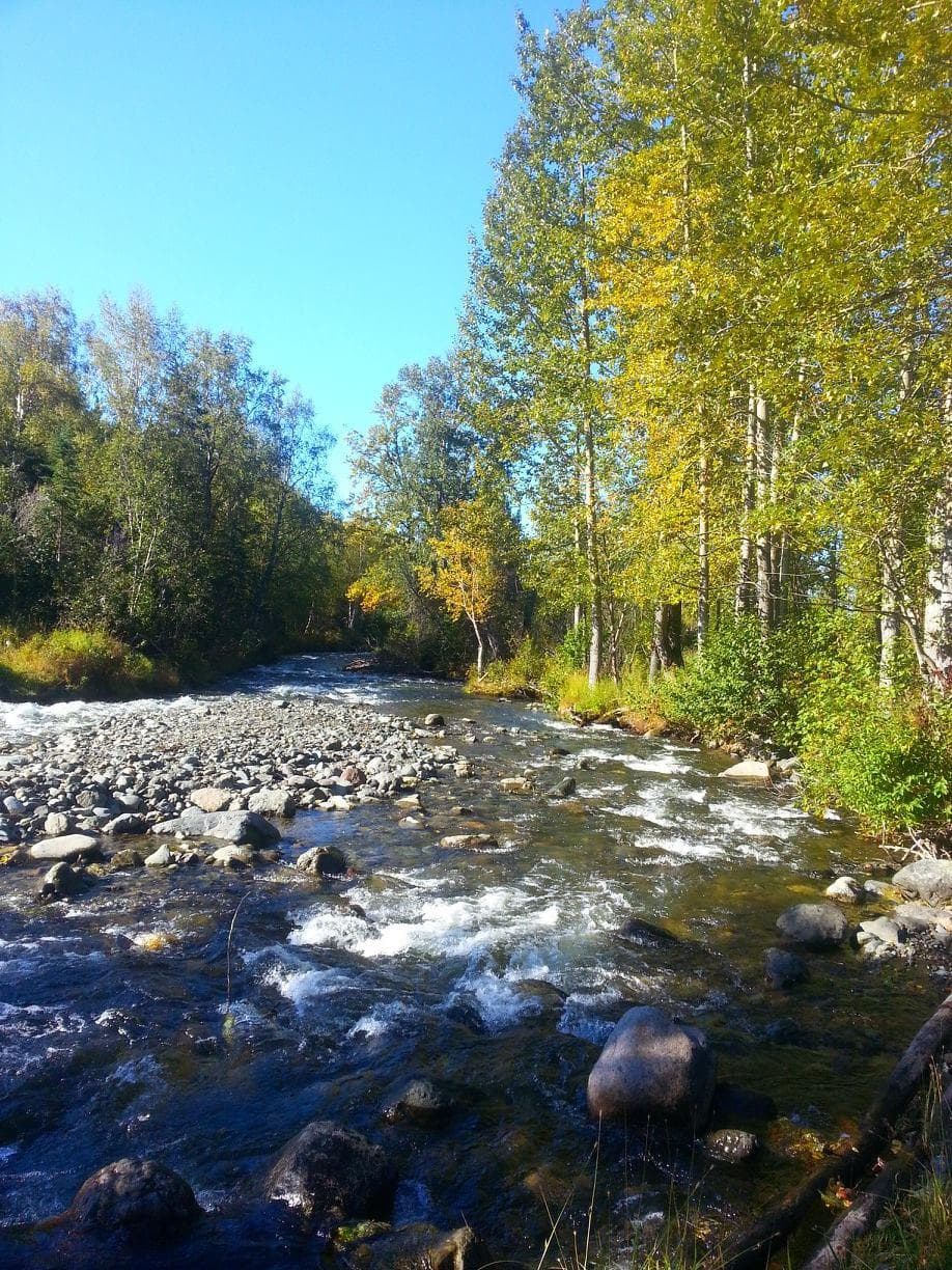 Campbell Creek, Far North Bicentennial Park