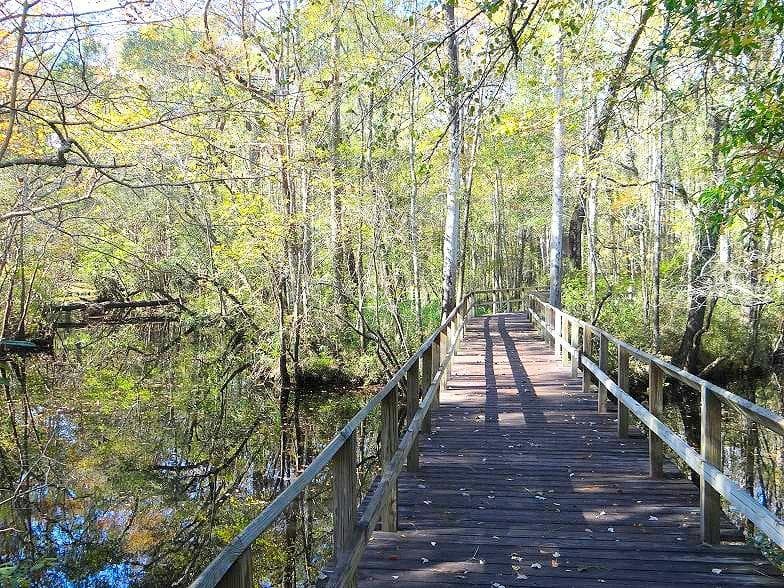 path through battlefield