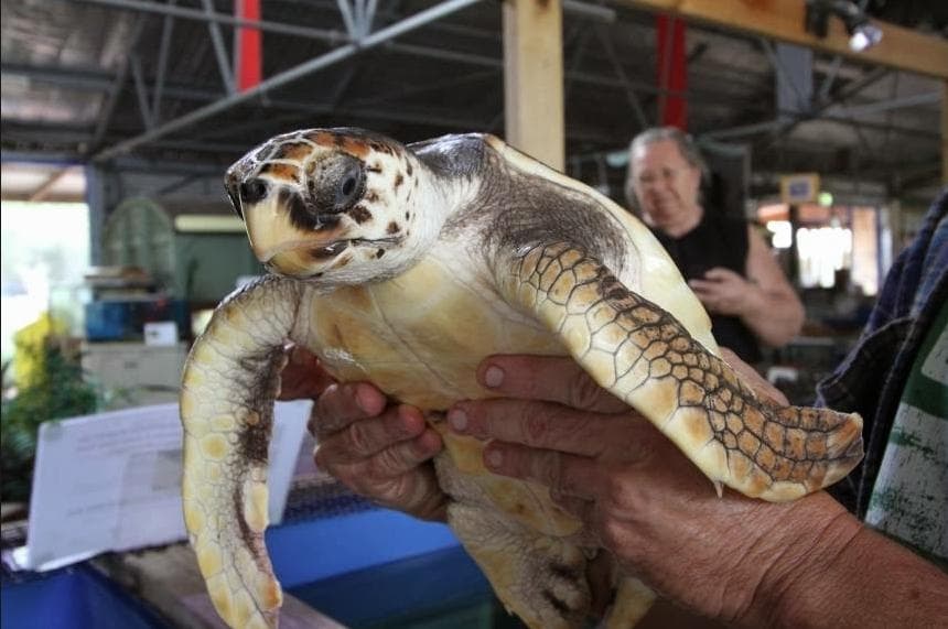 They're so friendly!