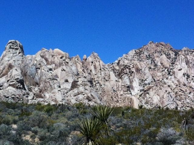 Devil's Playground 2