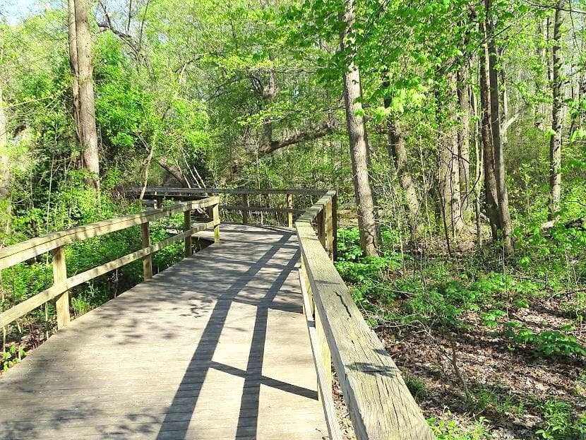 raised boardwalk