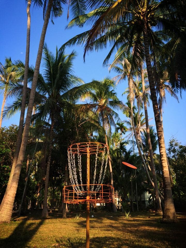 Straight in the basket