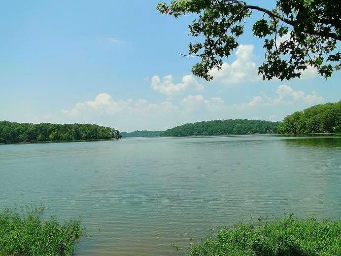 the lake