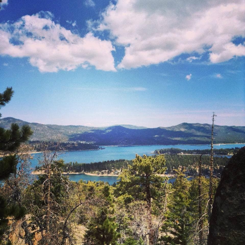 view from *almost* the top