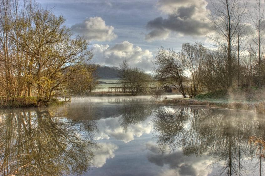 Early morning at Bruckland Farm Nature Reserve Devon