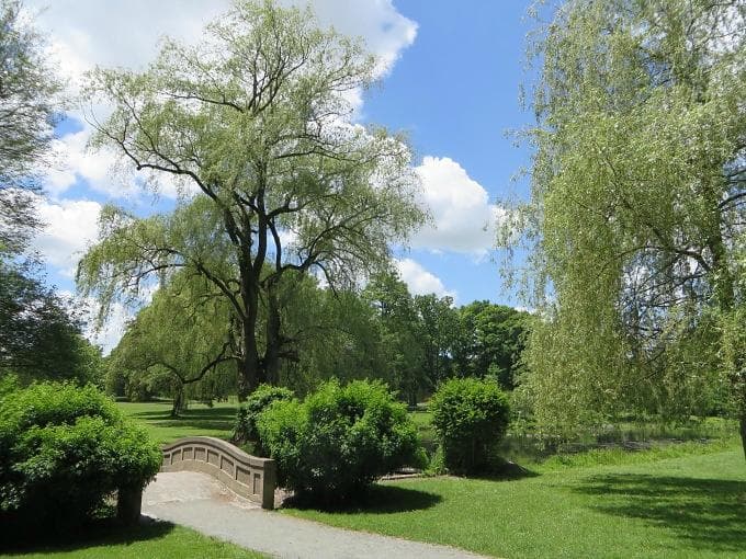 View of Francis William Bird Park