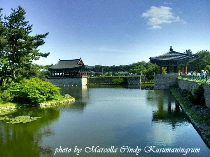 Anapji Pond