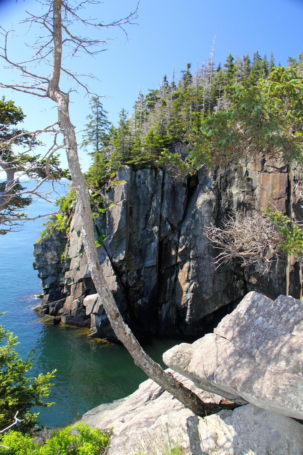 Coastal trail view