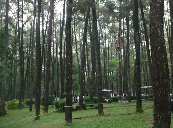 Hutan Wisata Punti Kayu