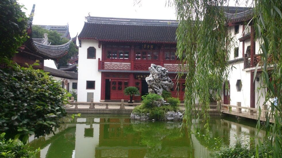 The inside garden