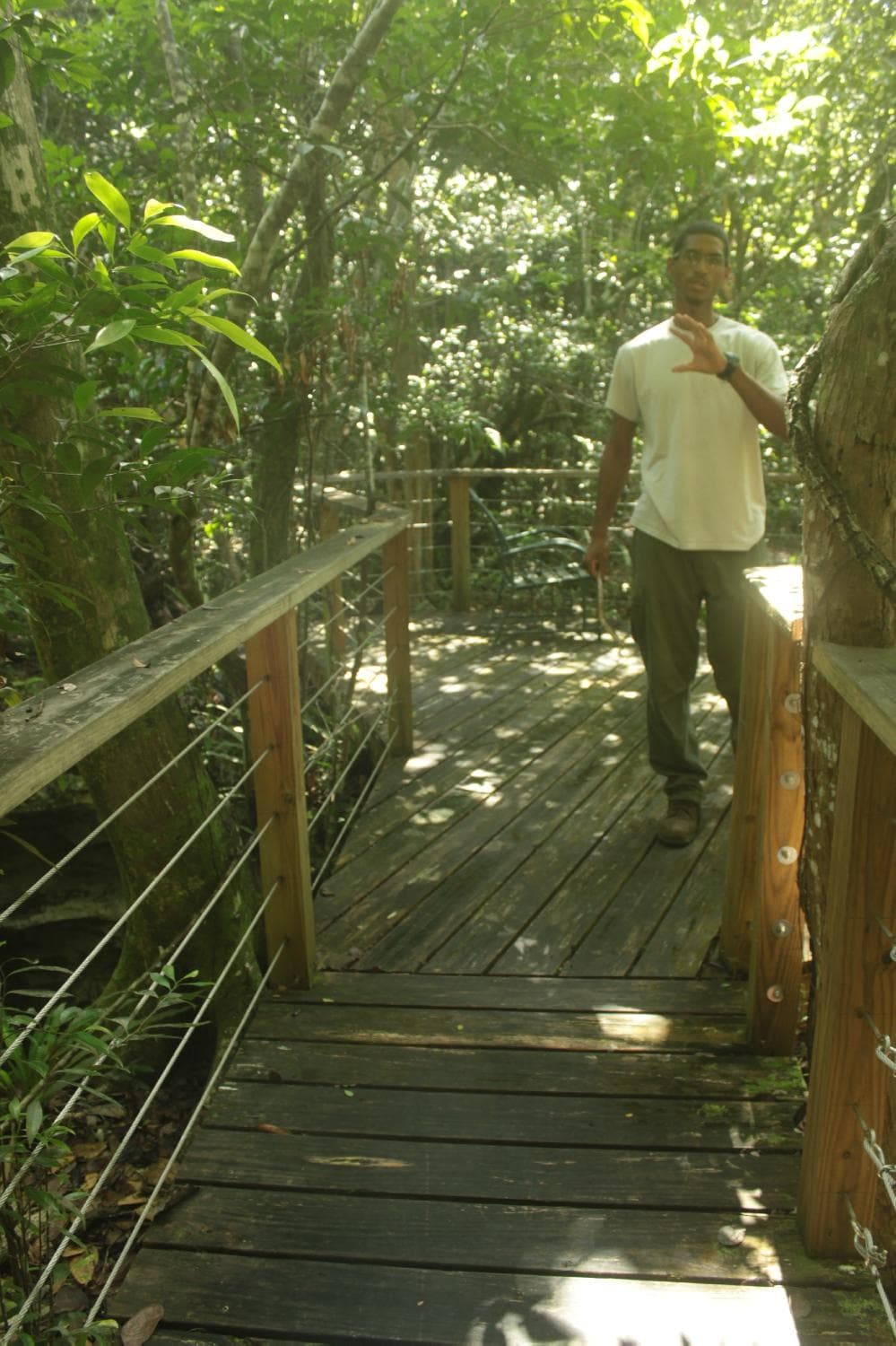 Park Warden Standing on Bridge Built above Sink Hole