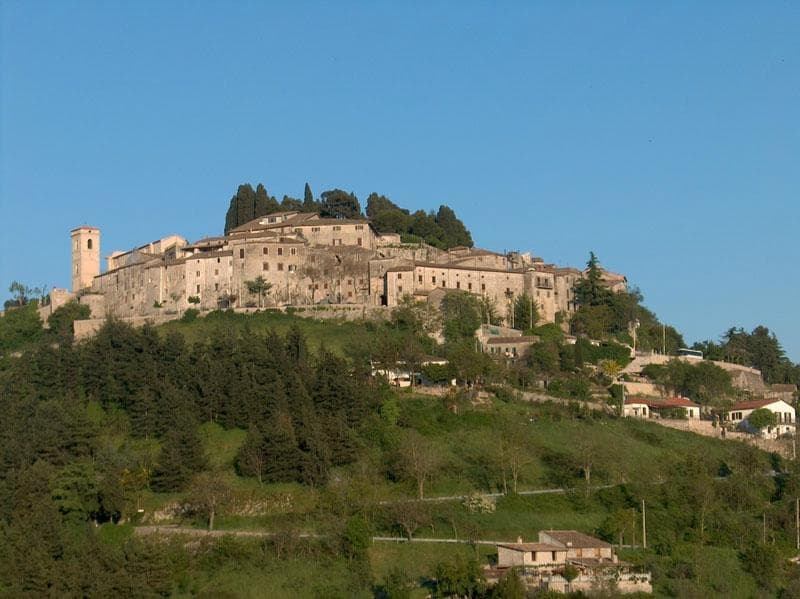 domina tutto !