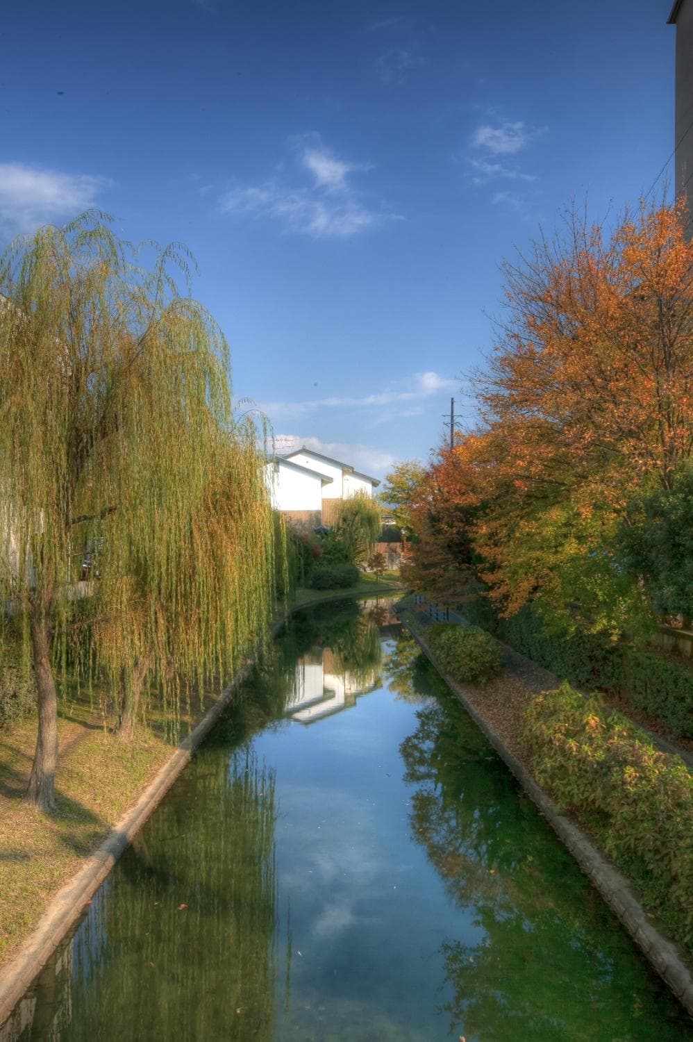 寺田屋外 景色