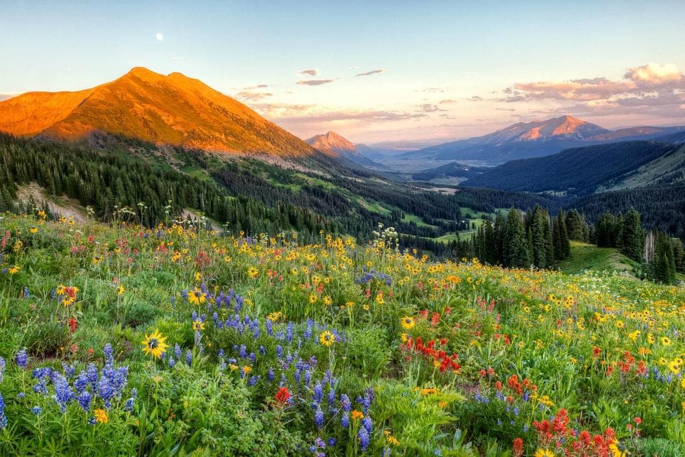 Crested Butte Photographer: J.C. Leacock