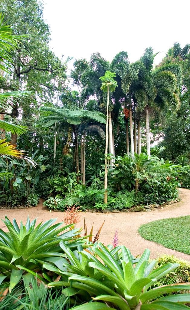 Cairns Botanic Gardens