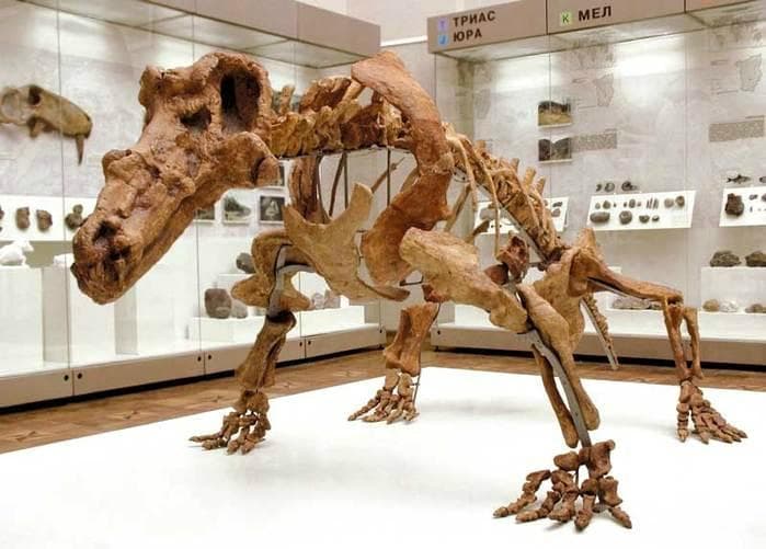 Экспозиция музея