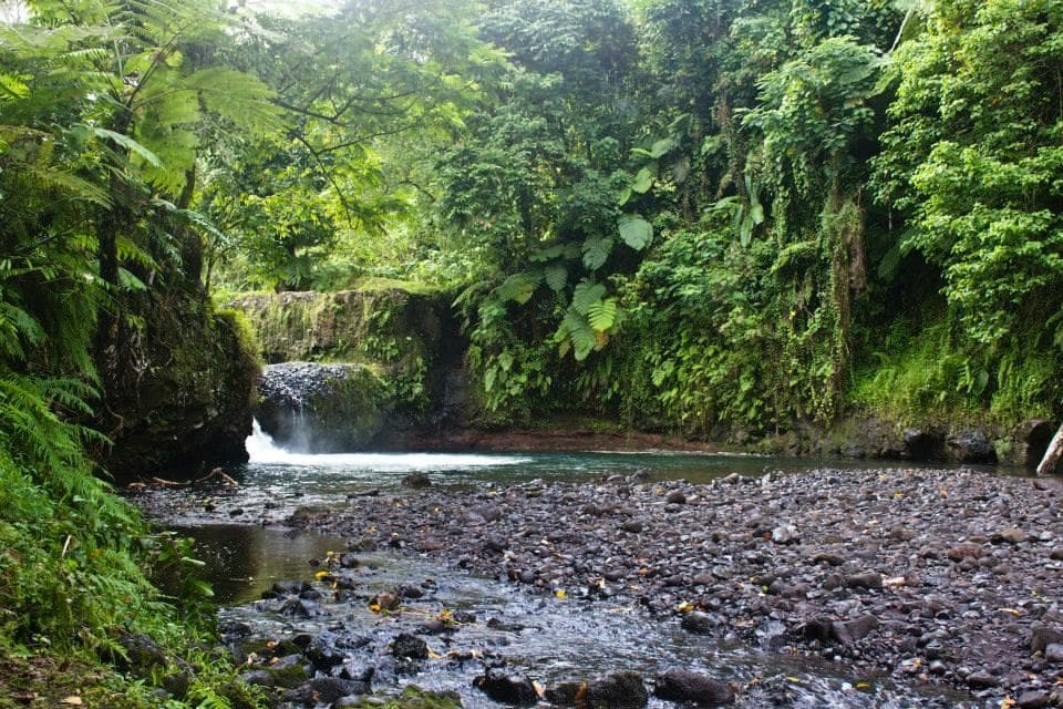 Looking up at the lower waterfall