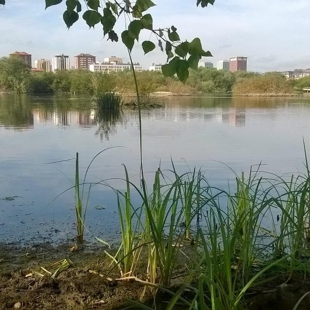 Vista de Vitoria desde el Parque Salburua