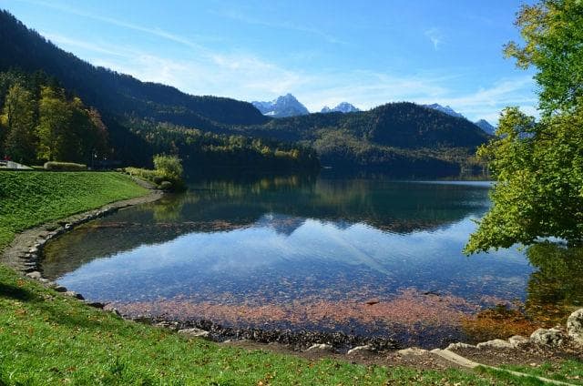 Alatsee