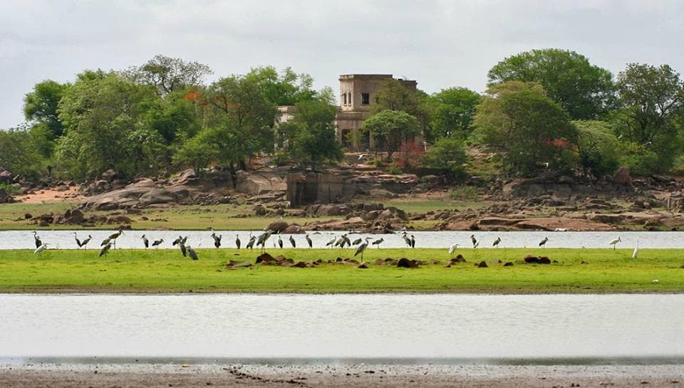 Pocharam Wildlife Sanctuary ,Pocharam Lake  Visiting Season:  November to January is the best ti