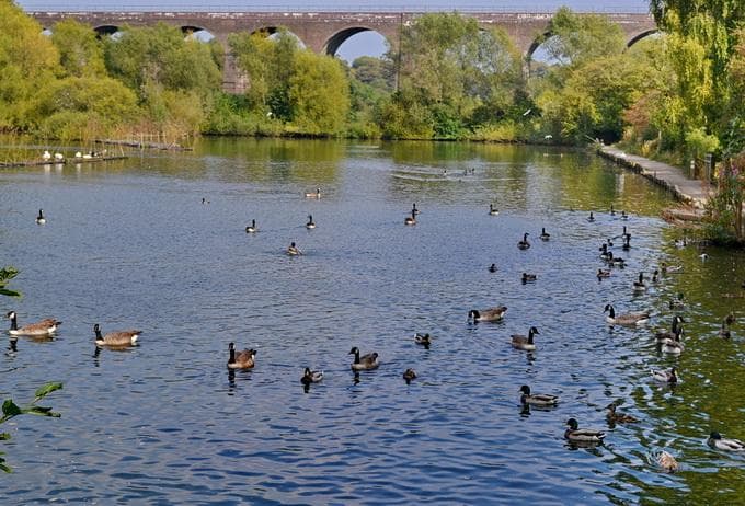 Reddish Vale country park nearby