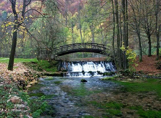 Kosutnjak