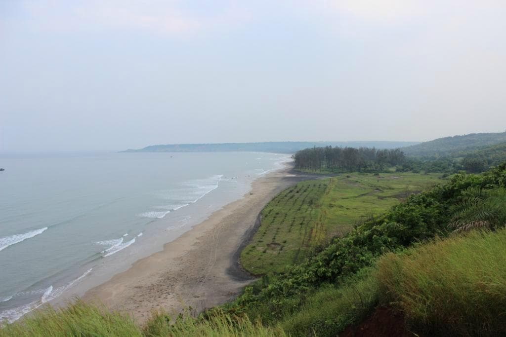 Ware beach Ariel view