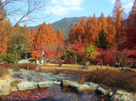 fall