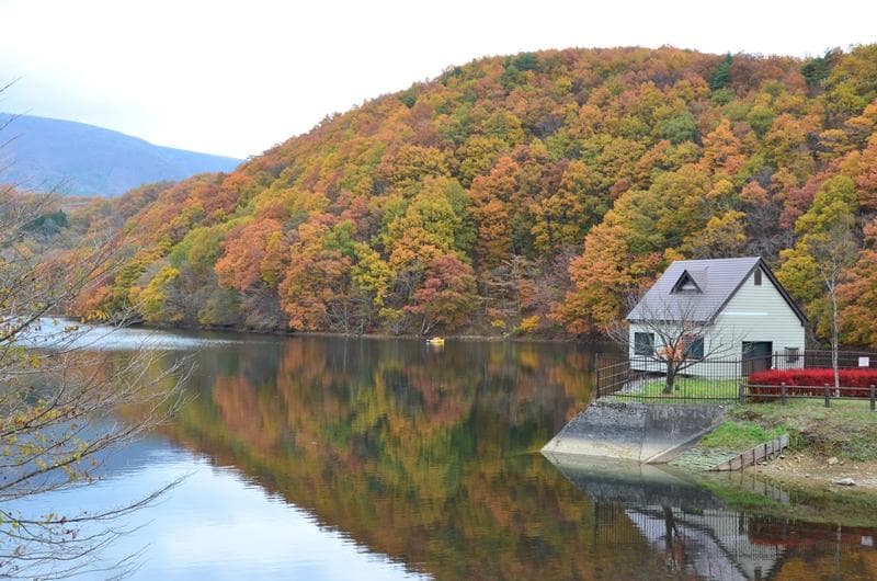 湖面にももみじが・・・