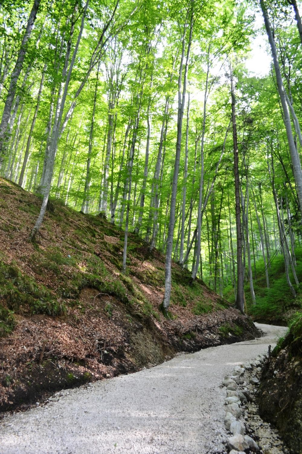 Alley to the cave