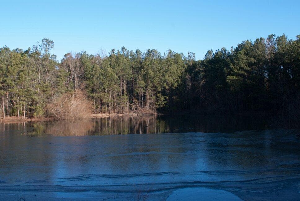 The scene from the observation deck is stunning.