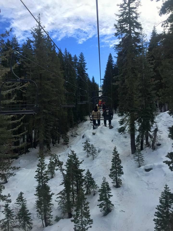 cedar lift