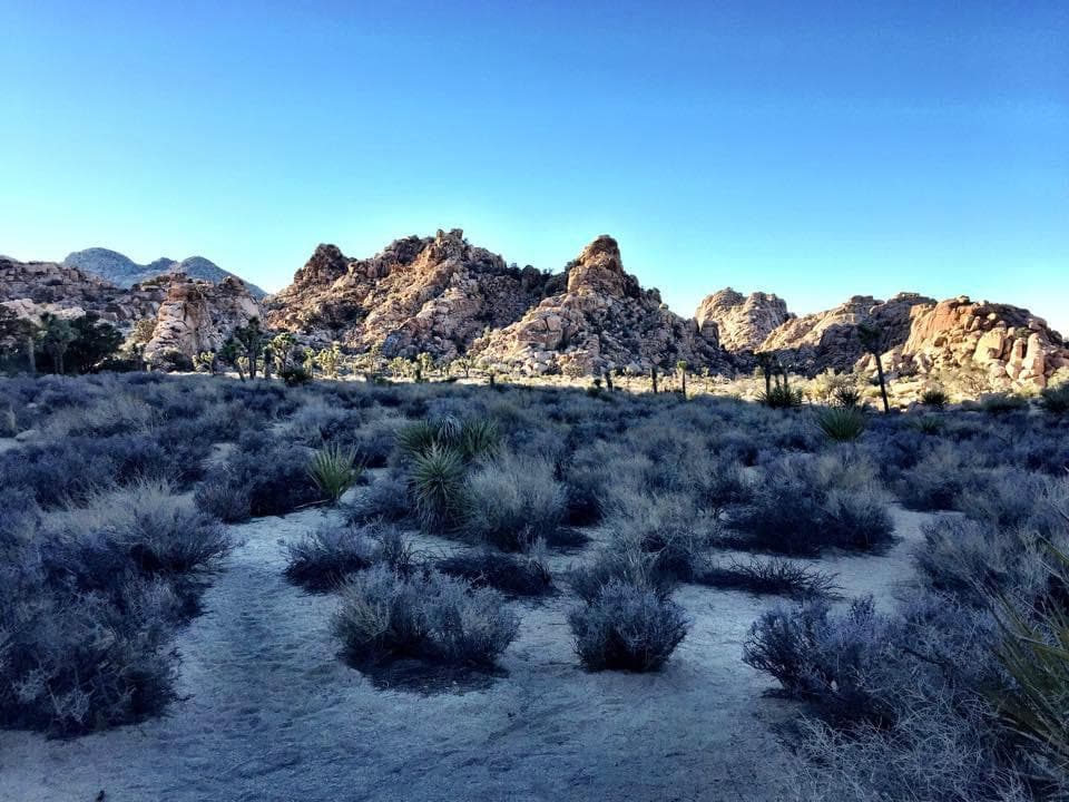 Valley View