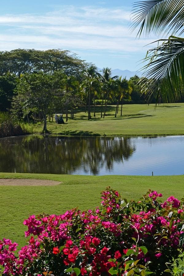 HOLE 7