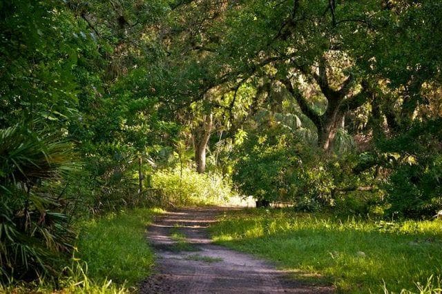 Follow the walking path...