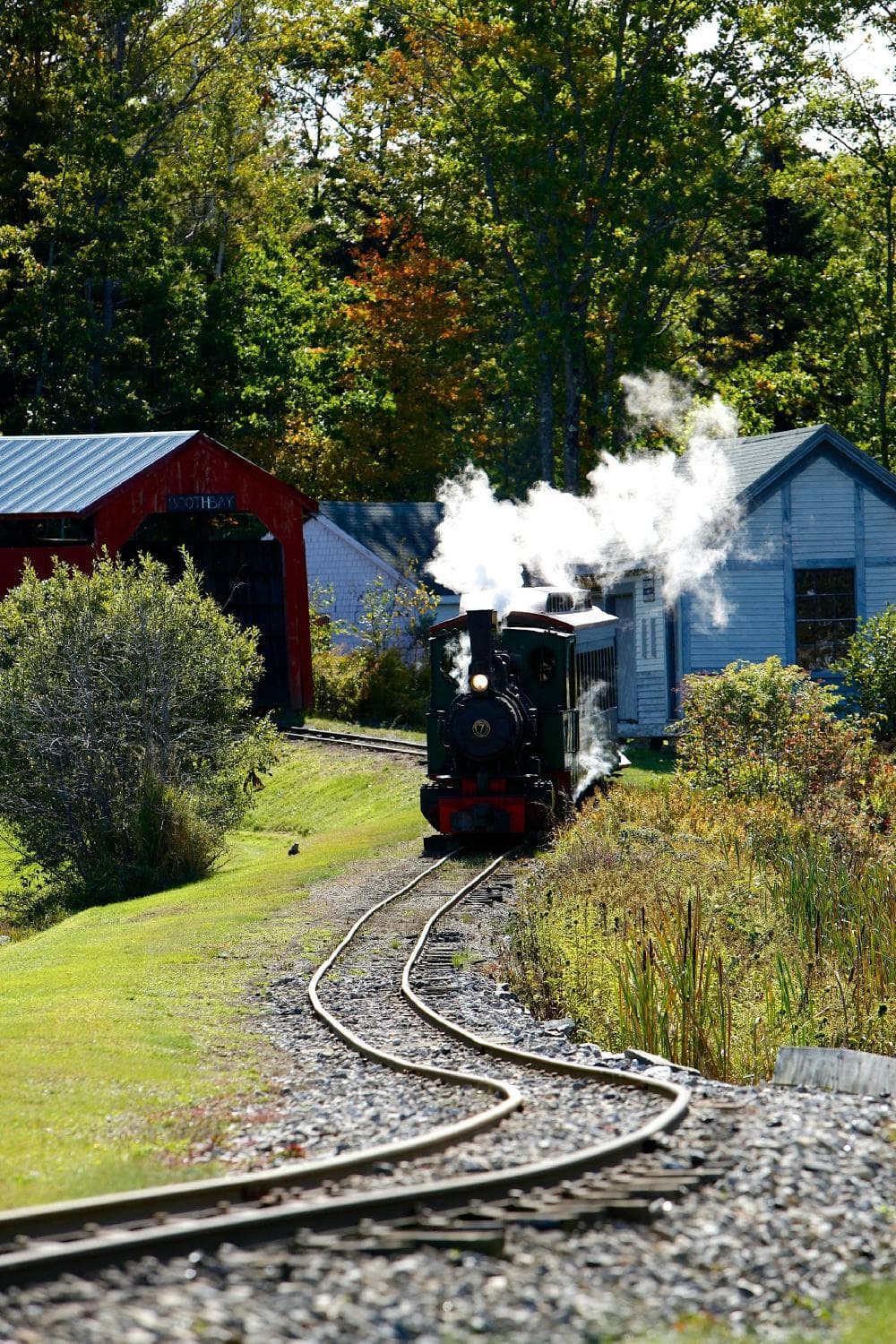 Nothing like a steam train ride on a crisp fall day