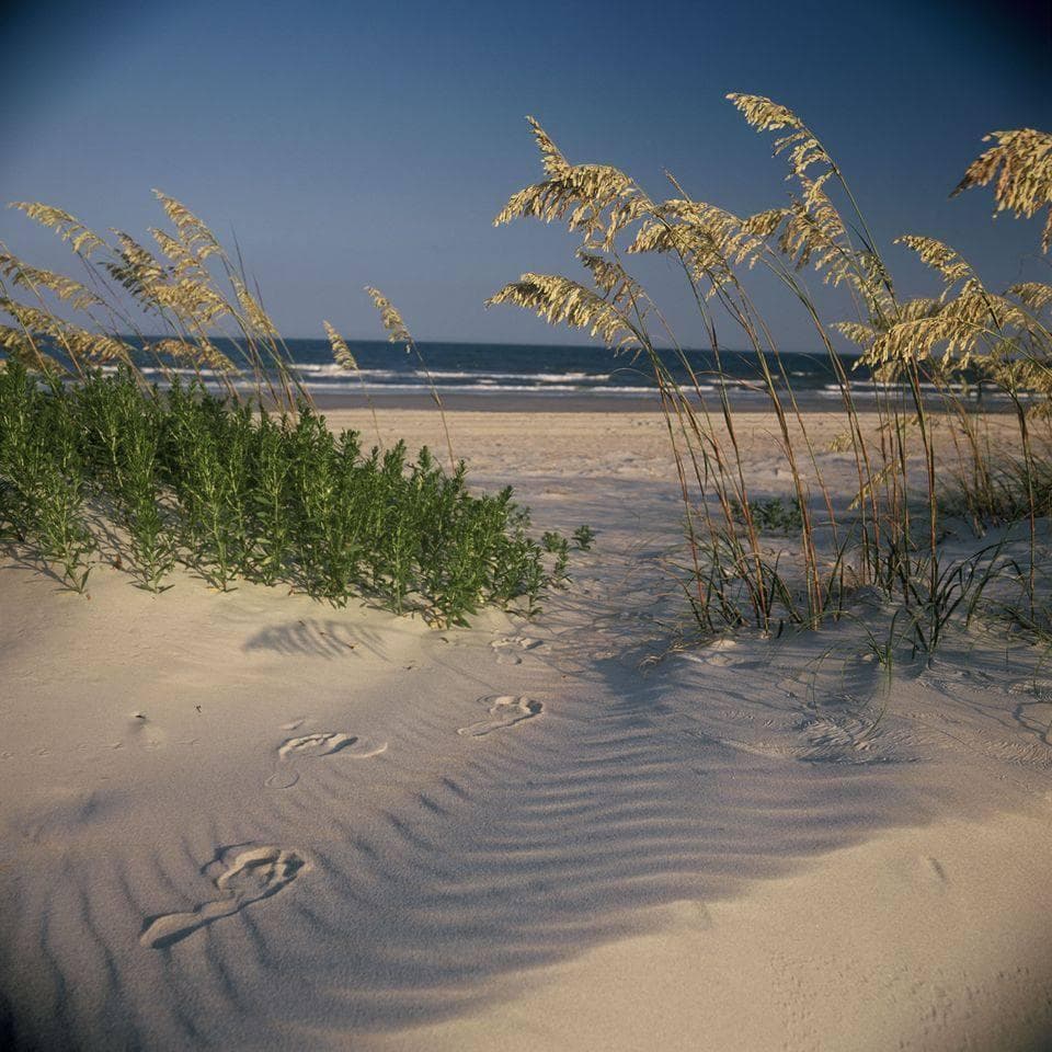 Beach view